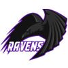 beastcoast vs Ravens Prediction: The Leader Will Confirm Its Position