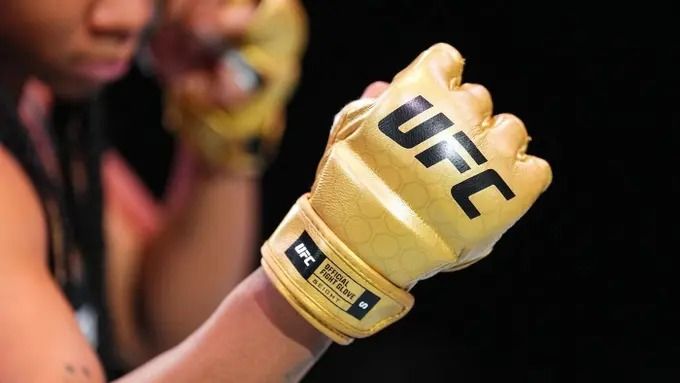 Gloves for title fights look quite striking