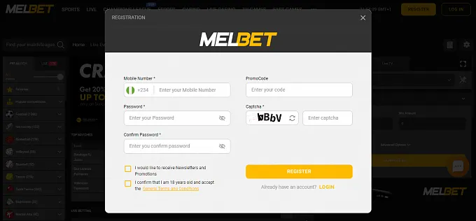 Input Your Information