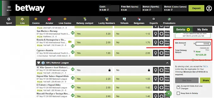 Enter Your Stake And Confirm