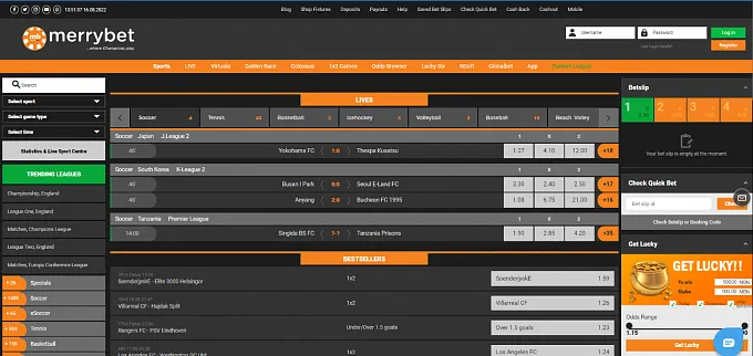Click the login button
