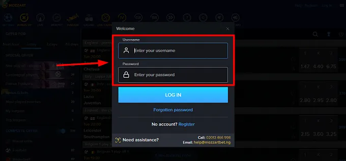 Input Login Details