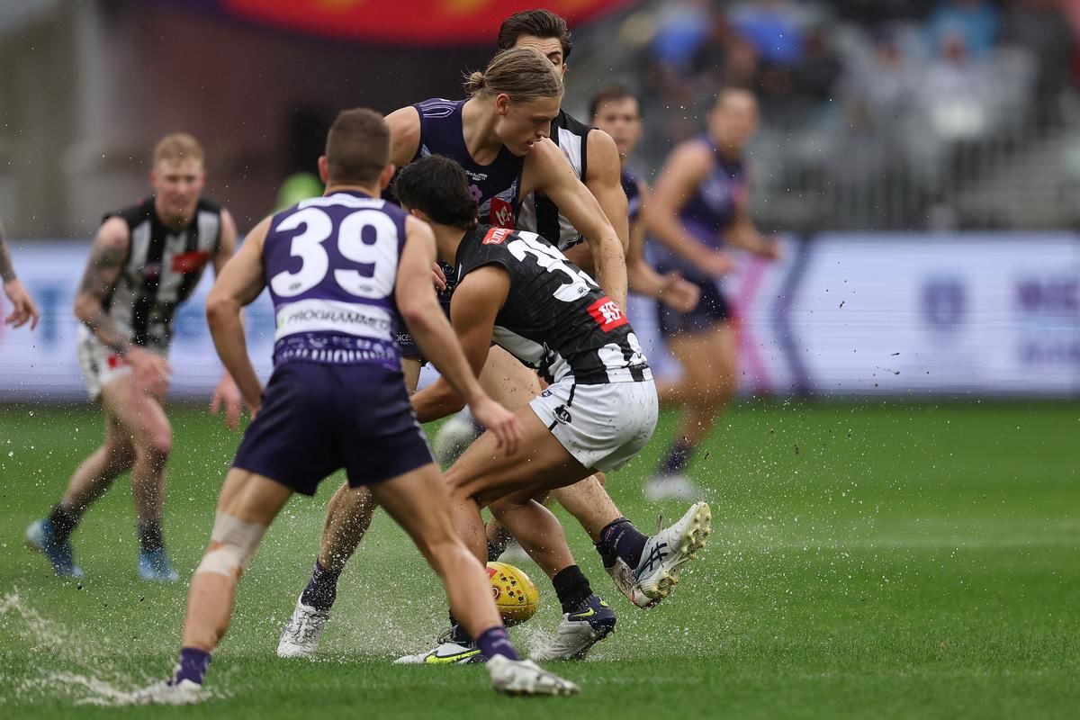 Collingwood Magpies vs Fremantle Dockers Prediction, Betting Tips & Odds │15 JULY, 2023