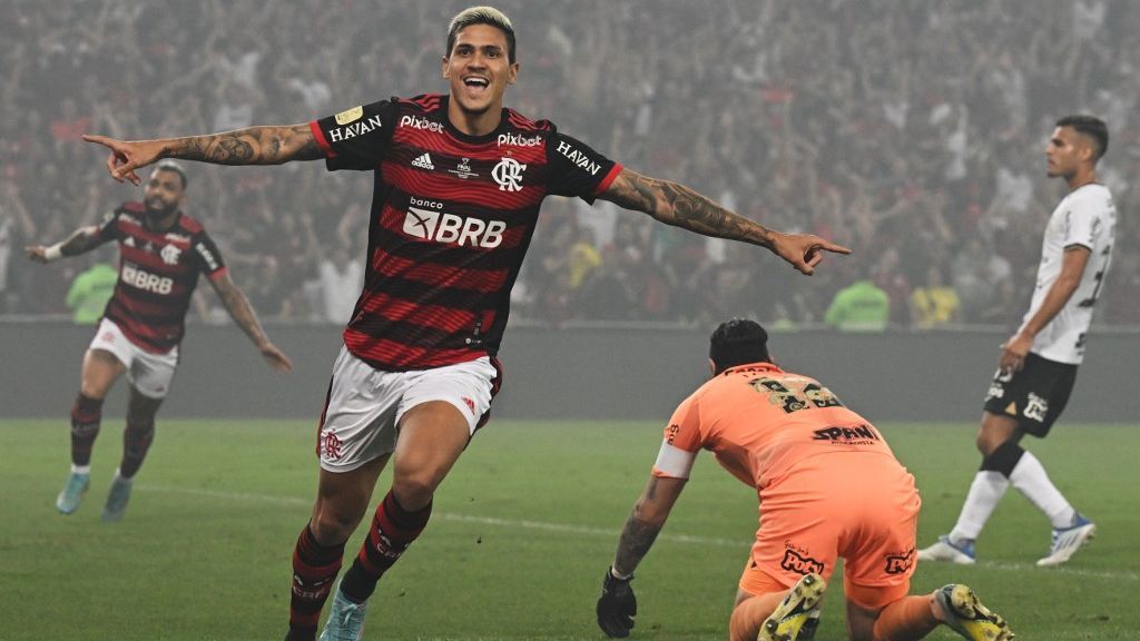 Santos vs Flamengo Prediction, Betting Tips & Odds │26 JUNE, 2023