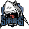 Sharks vs Ospreys Prediction: An easy win ahead for Sharks