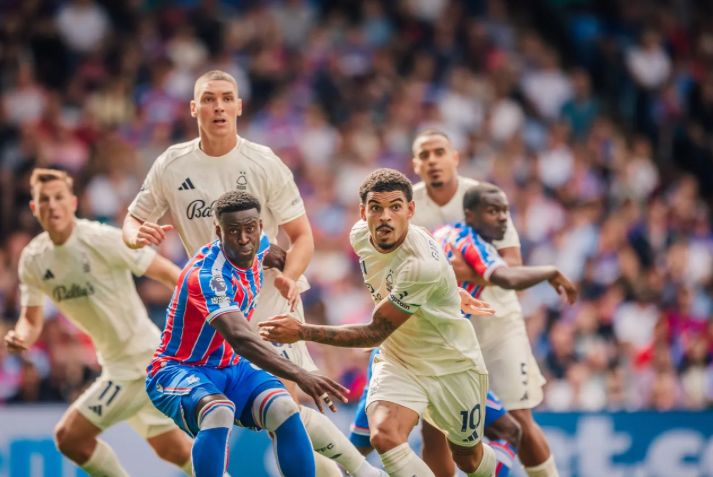 Nottingham Forest vs Brighton: Prediction for the Match on November 30, 2025