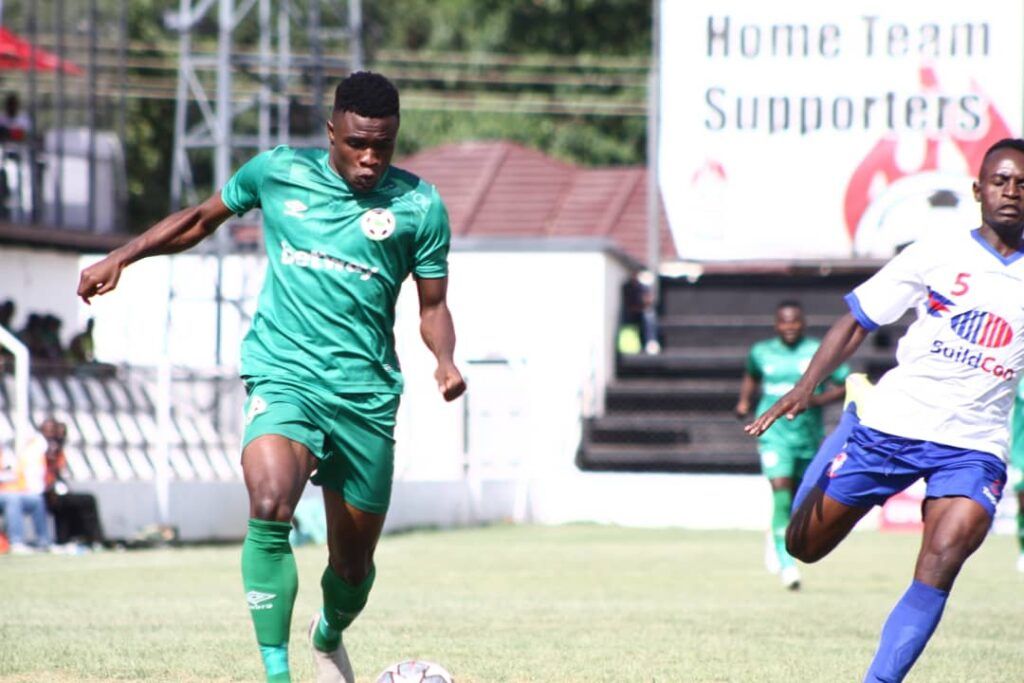 Green Buffaloes vs Forest Rangers Prediction, Betting Tips & Odds │11 MARCH, 2023