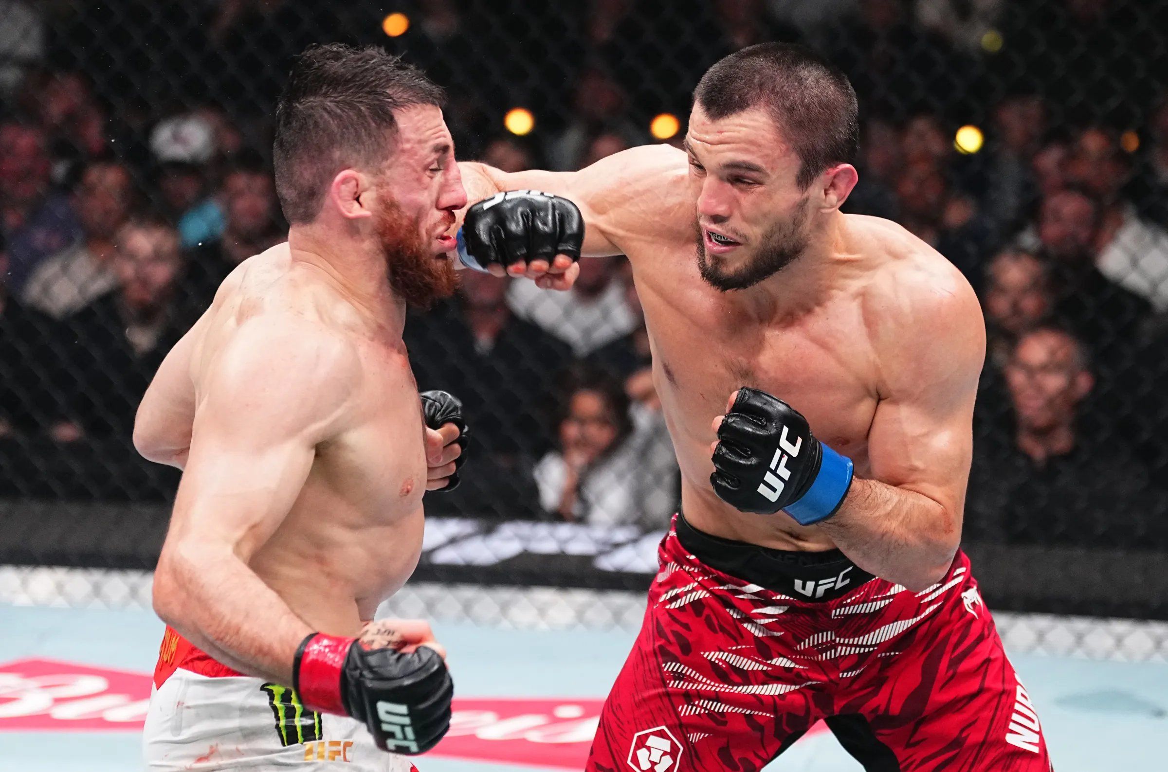 Umar Nurmagomedov vs Mario Bautista: Prediction and odds on the Match on 25 October, 2025