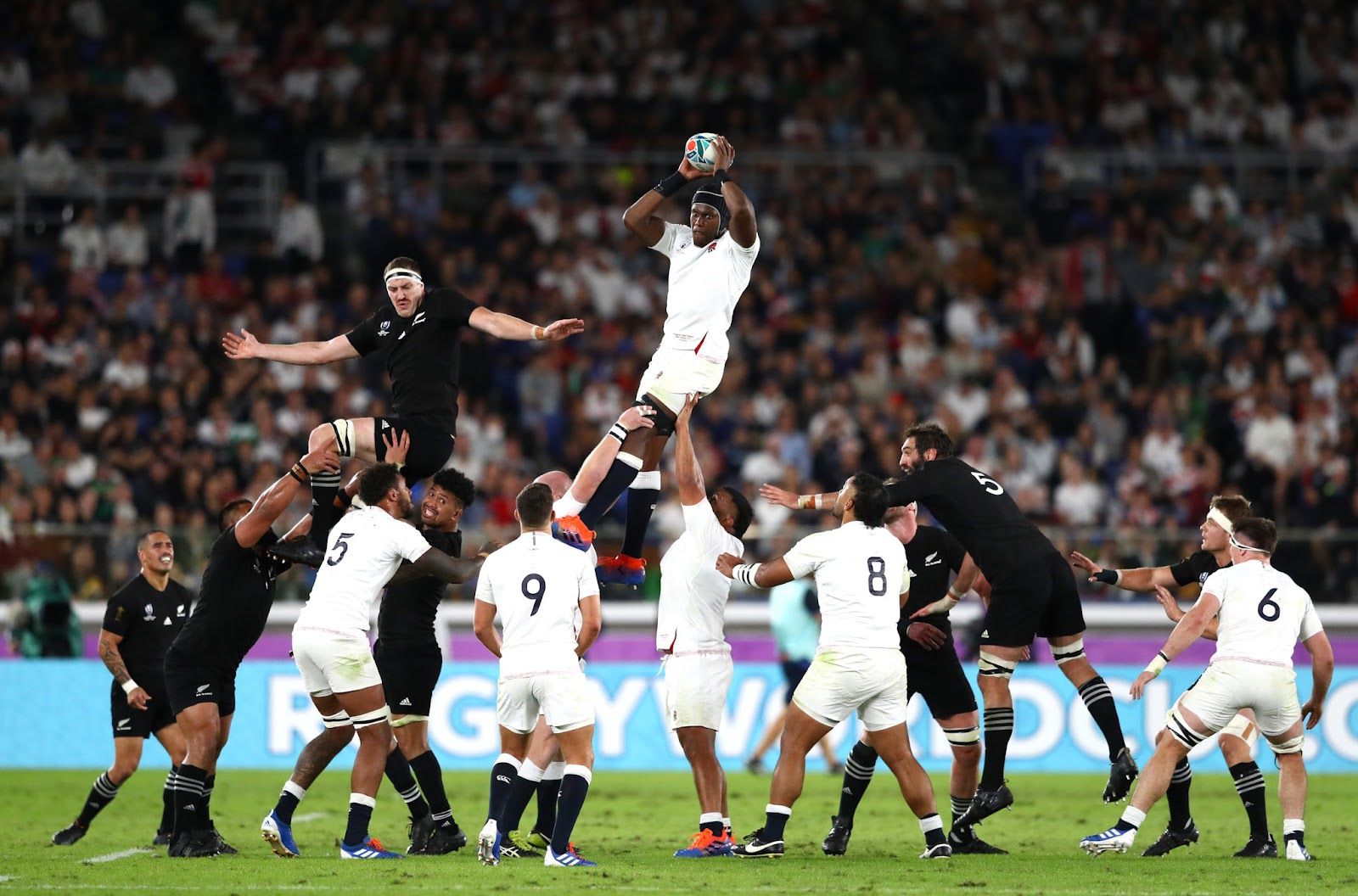 Rugby: England to play against New Zealand and South Africa in autumn