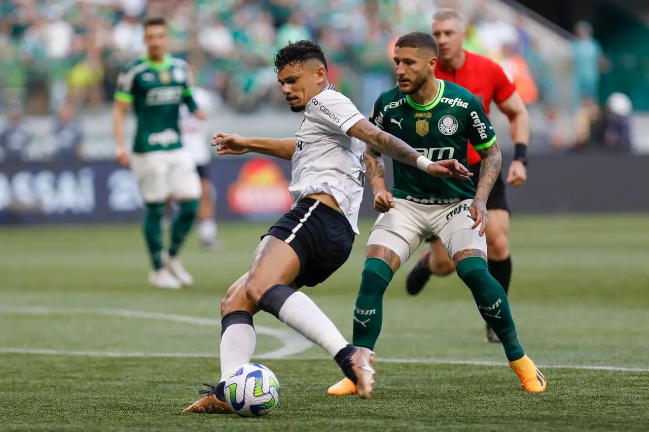 Botafogo vs Palmeiras Prediction, Betting, Tips, and Odds | 2 NOVEMBER 2023