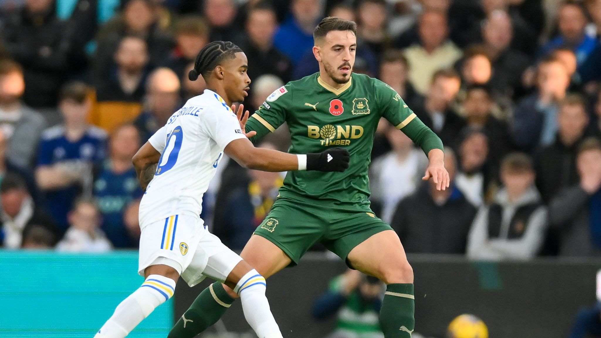 Plymouth Argyle vs. Leeds United. Pronostico, Apuestas y Cuotas│17 de febrero de 2024