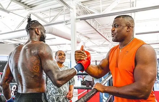 Wilder is Ready to Fight Ngannou under MMA Rules
