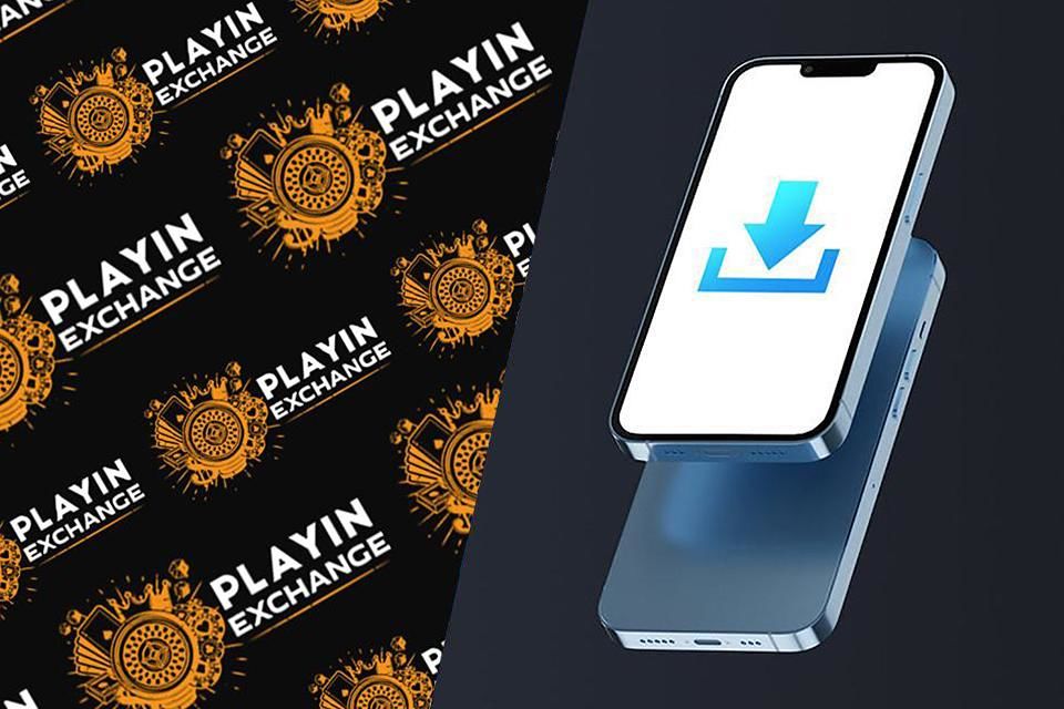 Playinexch APK Android India