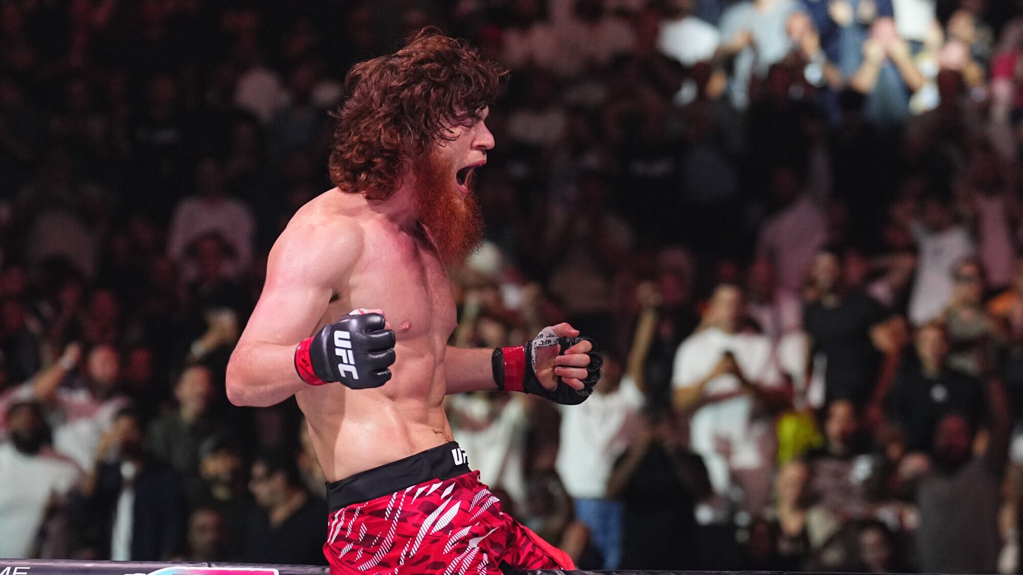 I Want to Fight an American in the White House: Shara Bullet