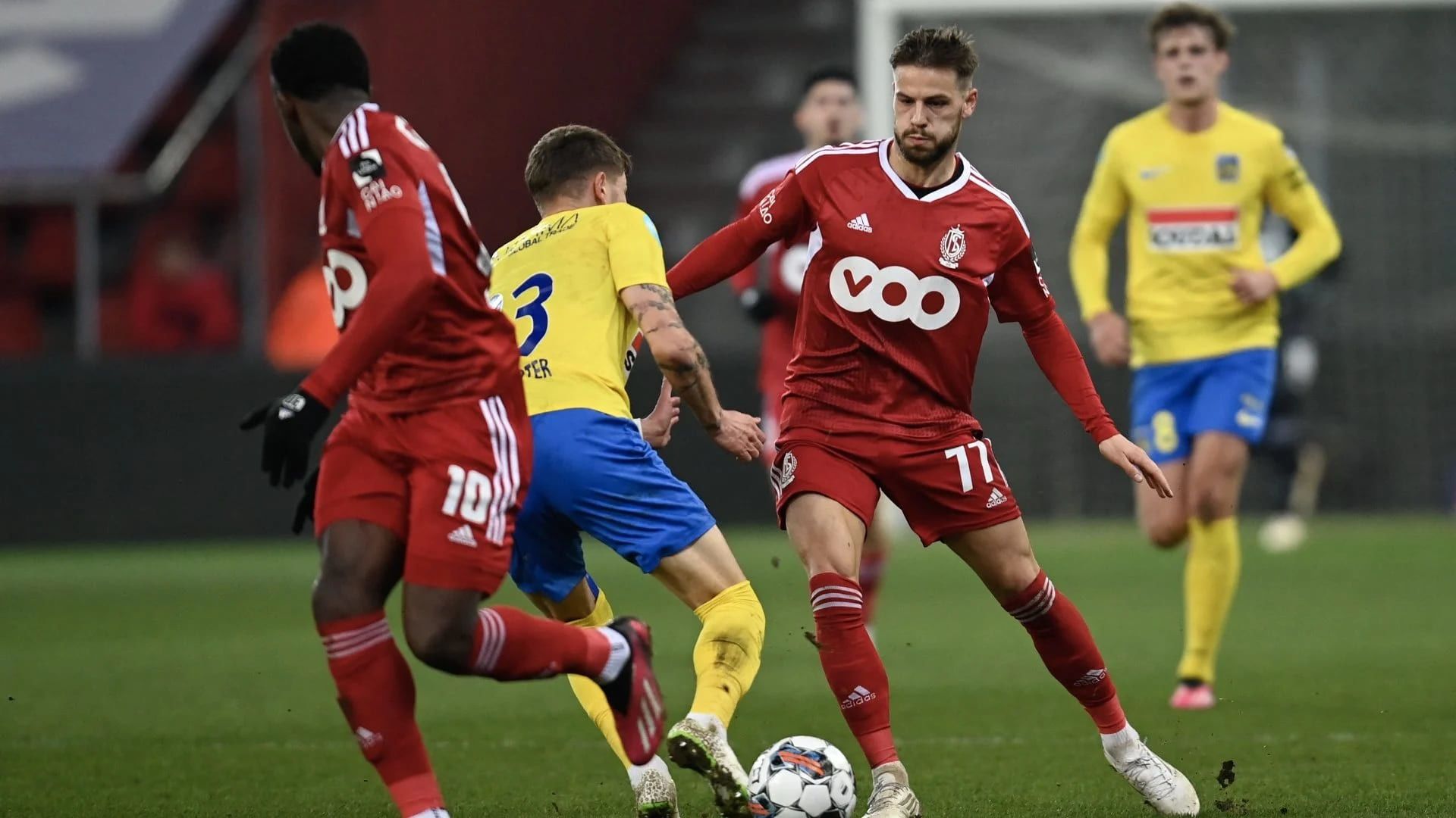 Westerlo vs. Standard Lieja. Pronostico, Apuestas y Cuotas│16 de febrero de 2024