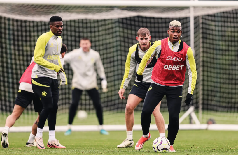 Wolverhampton vs Brighton: Prediction for the Match on May 10, 2025