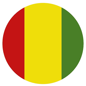 Guinea vs Ethiopia Prediction: An entertaining match ahead