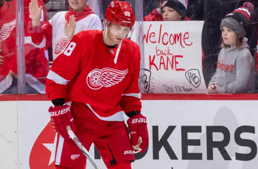 Detroit Red Wings vs Anaheim Ducks Prediction, Betting Tips & Odds │19 DECEMBER, 2023