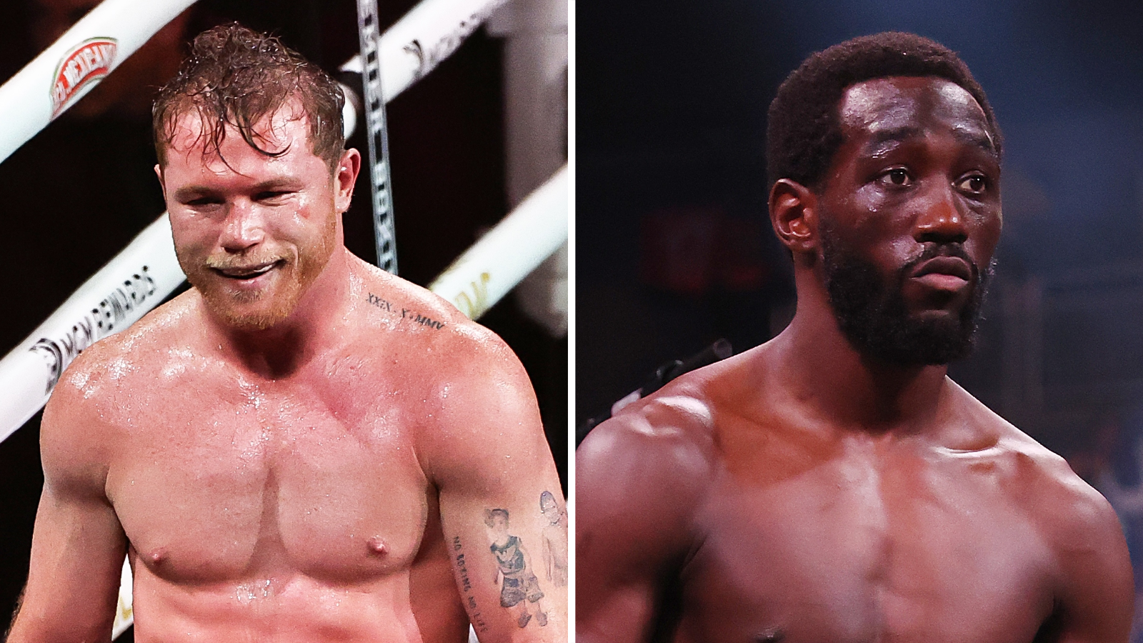 Canelo Álvarez vs Terence Crawford: Prediction and odds on the Match on 14 September, 2025