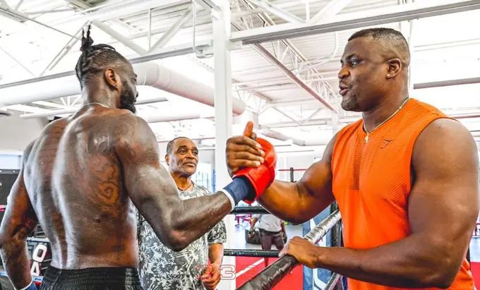 Ngannou vs Wilder may take place in Africa