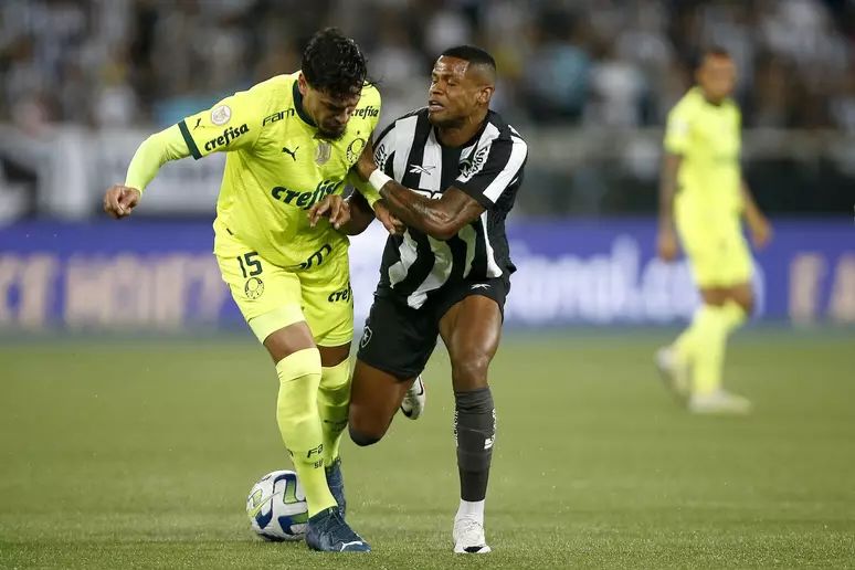 Botafogo vs Palmeiras Prediction, Betting Tips & Odds | 18 JULY 2024