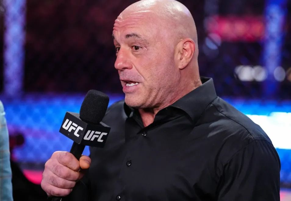 I Used to Bet on UFC Fights – 84% of My Predictions Were Correct: Rogan