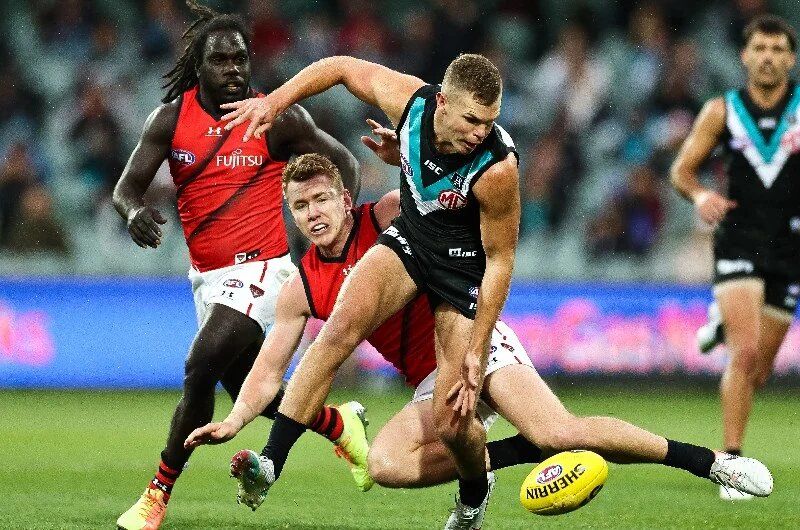 Essendon Football Club vs Port Adelaide Football Club Prediction, Betting Tips & Odds │14 AUG, 2022