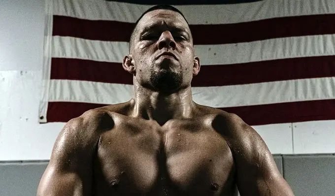 Nate Diaz may go to jail for eight years for a street fight