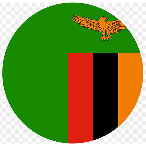 Niger vs Zambia Prediction: Both sides will score