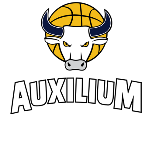 Auxilium Torino