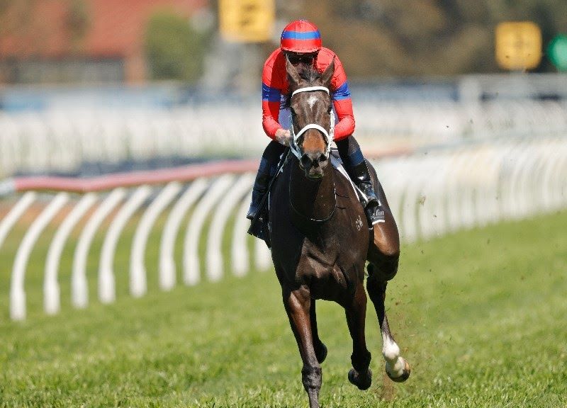 Horse racing: Horse Verry Elleegant and trainer Chris Waller clinch Melbourne Cup