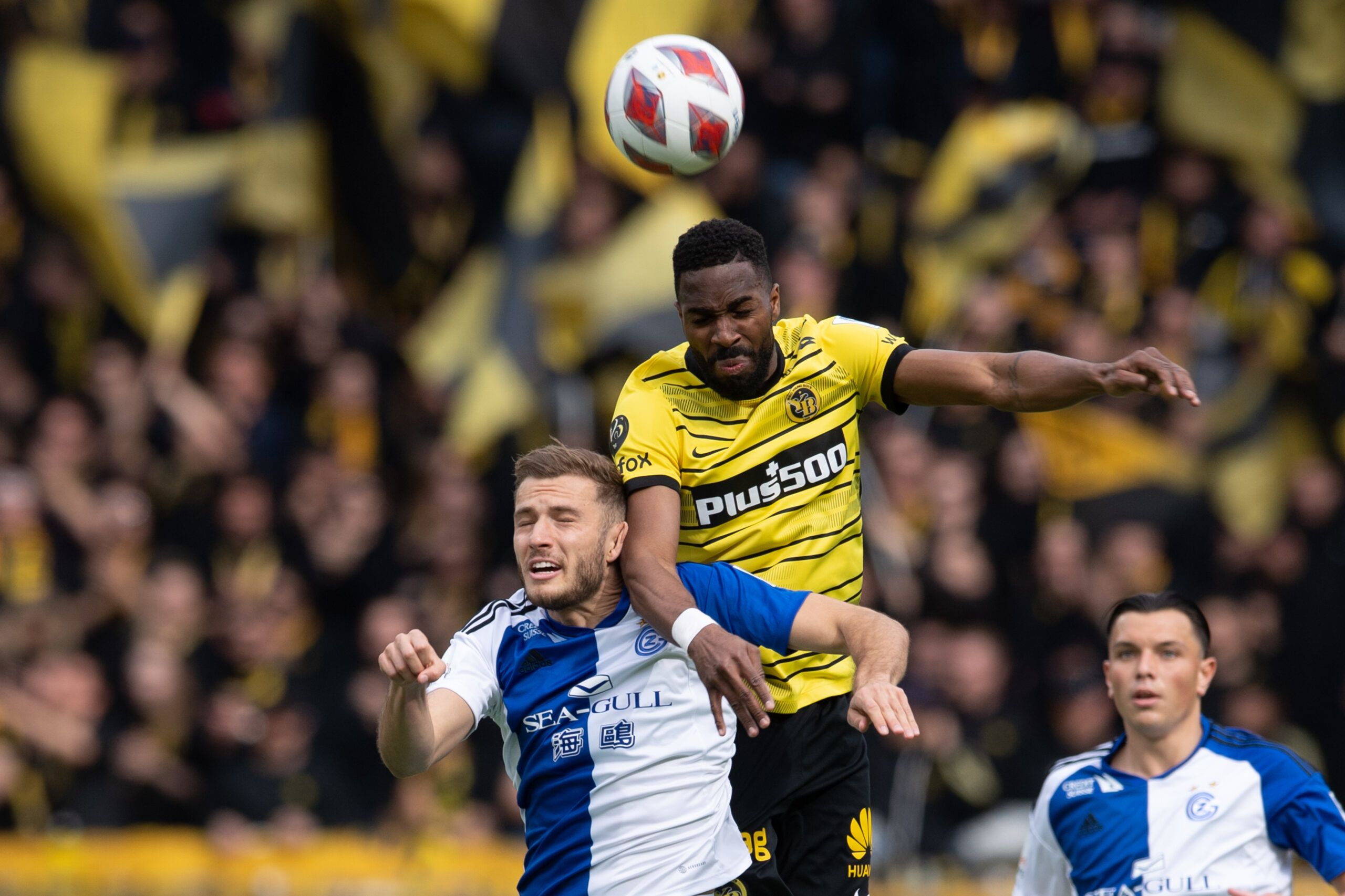 Young Boys vs Grasshoppers Prediction, Betting Tips & Odds │20 JANUARY, 2024