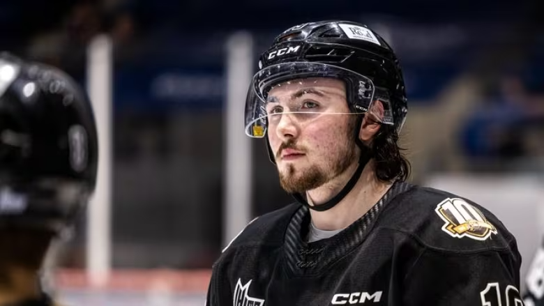 Canadian Hockey Player Hinkley Ends His Career At 19 Due To Early Dementia Risk
