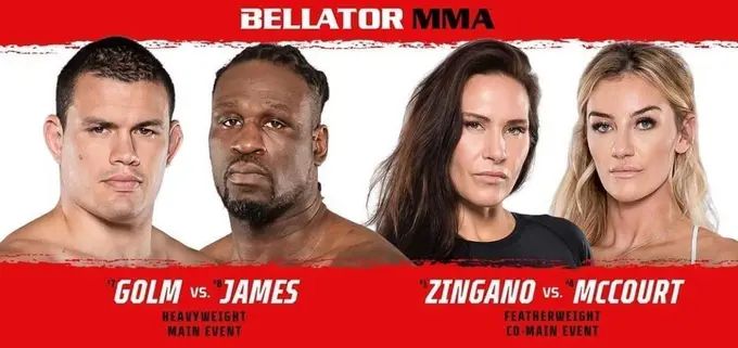 Results of Bellator 293 tournament are announced