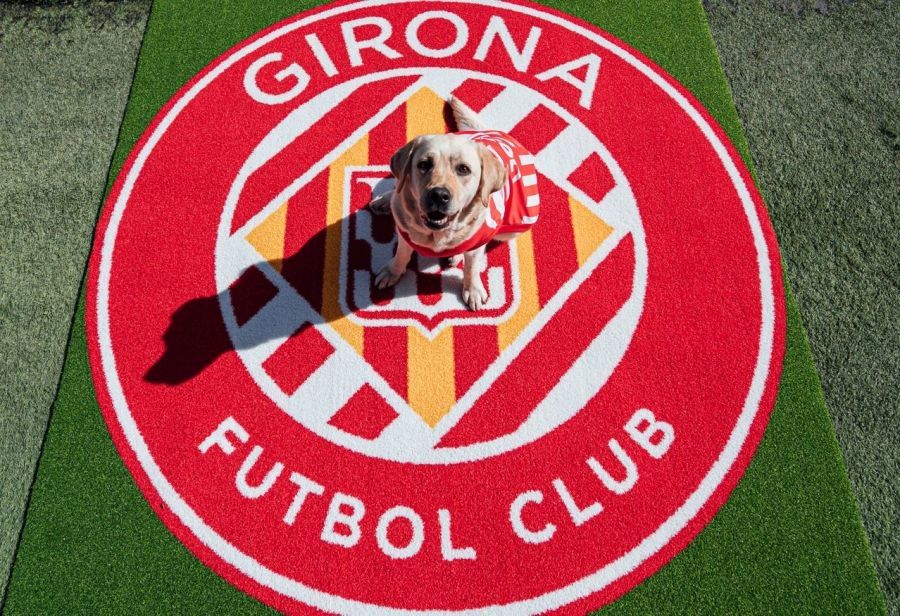 El Girona FC se convierte en el primer club ‘pet friendly’ del mundo