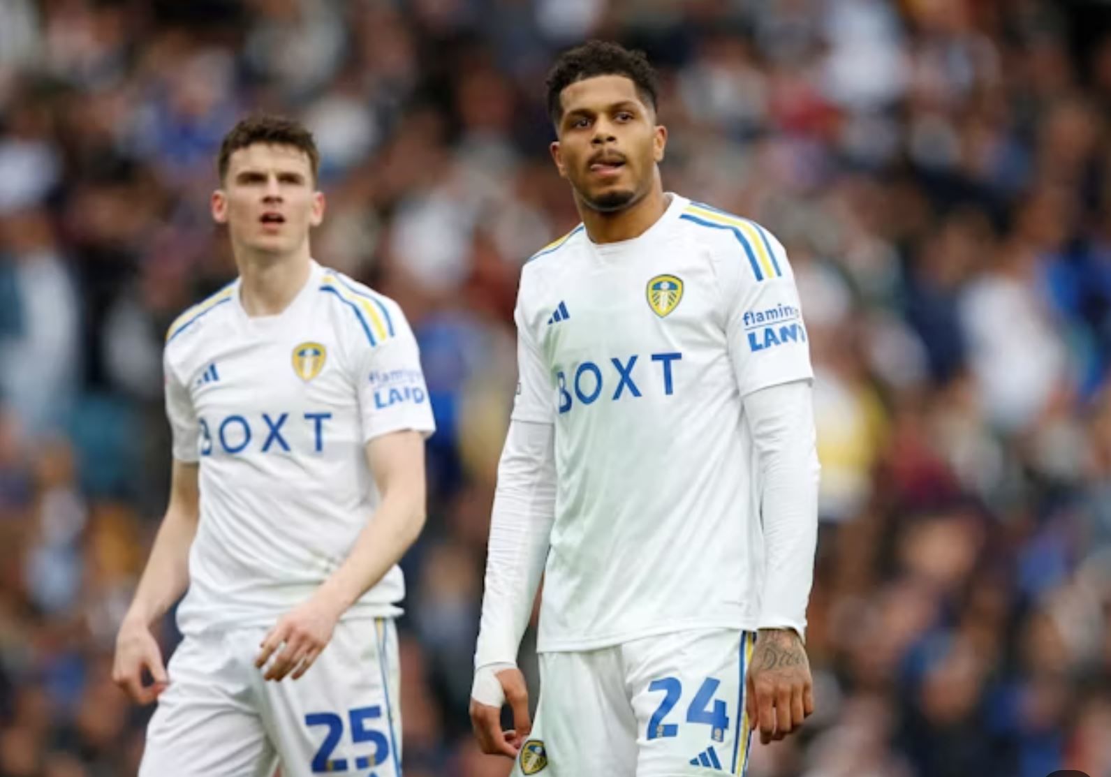 Norwich City FC vs Leeds United Prediction, Betting Tips & Odds │12 MAY, 2024
