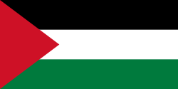 Catar vs. Palestina Pronóstico: los cataríes han demostrado estar a un mejor nivel