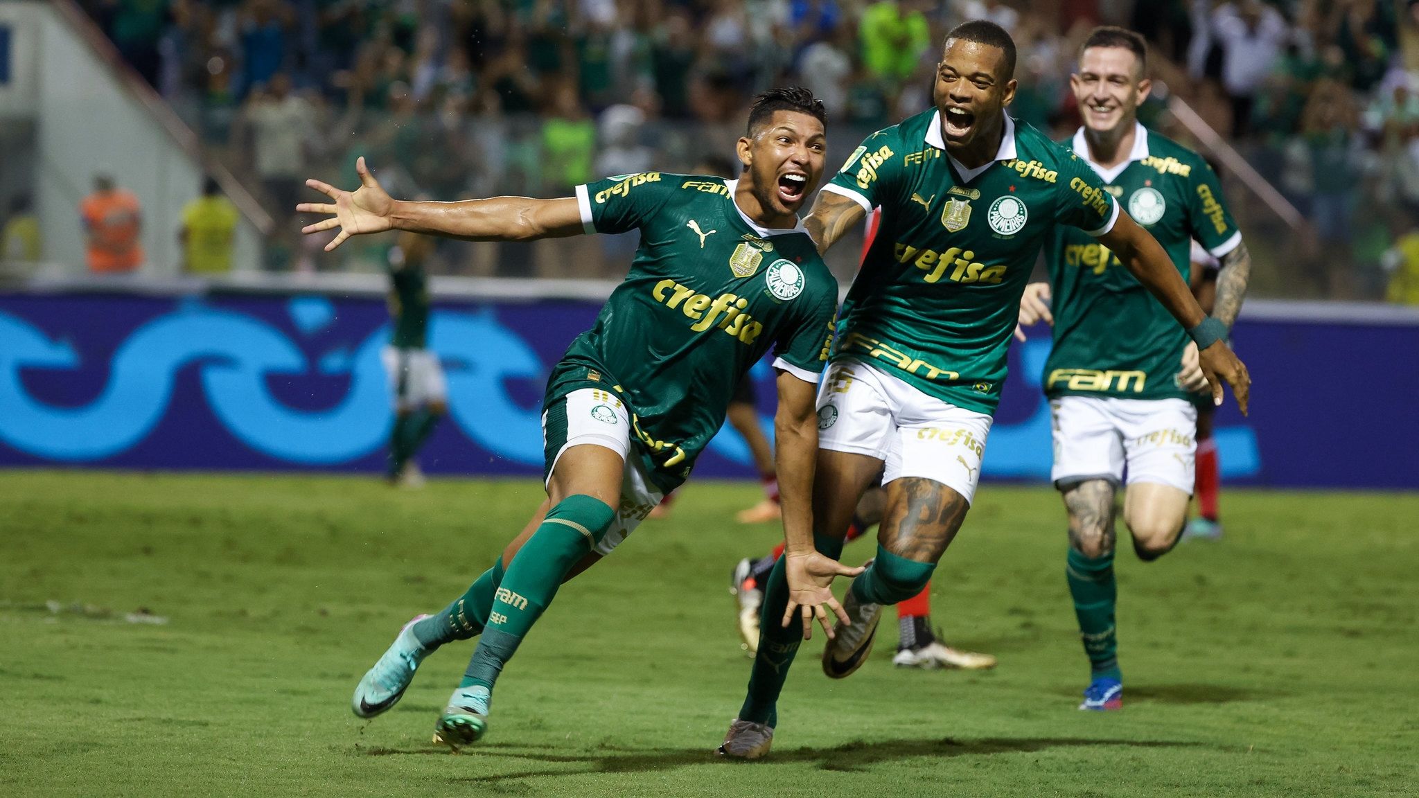 Palmeiras vs Ponte Preta Prediction, Betting, Tips, and Odds | 17 MARCH 2024