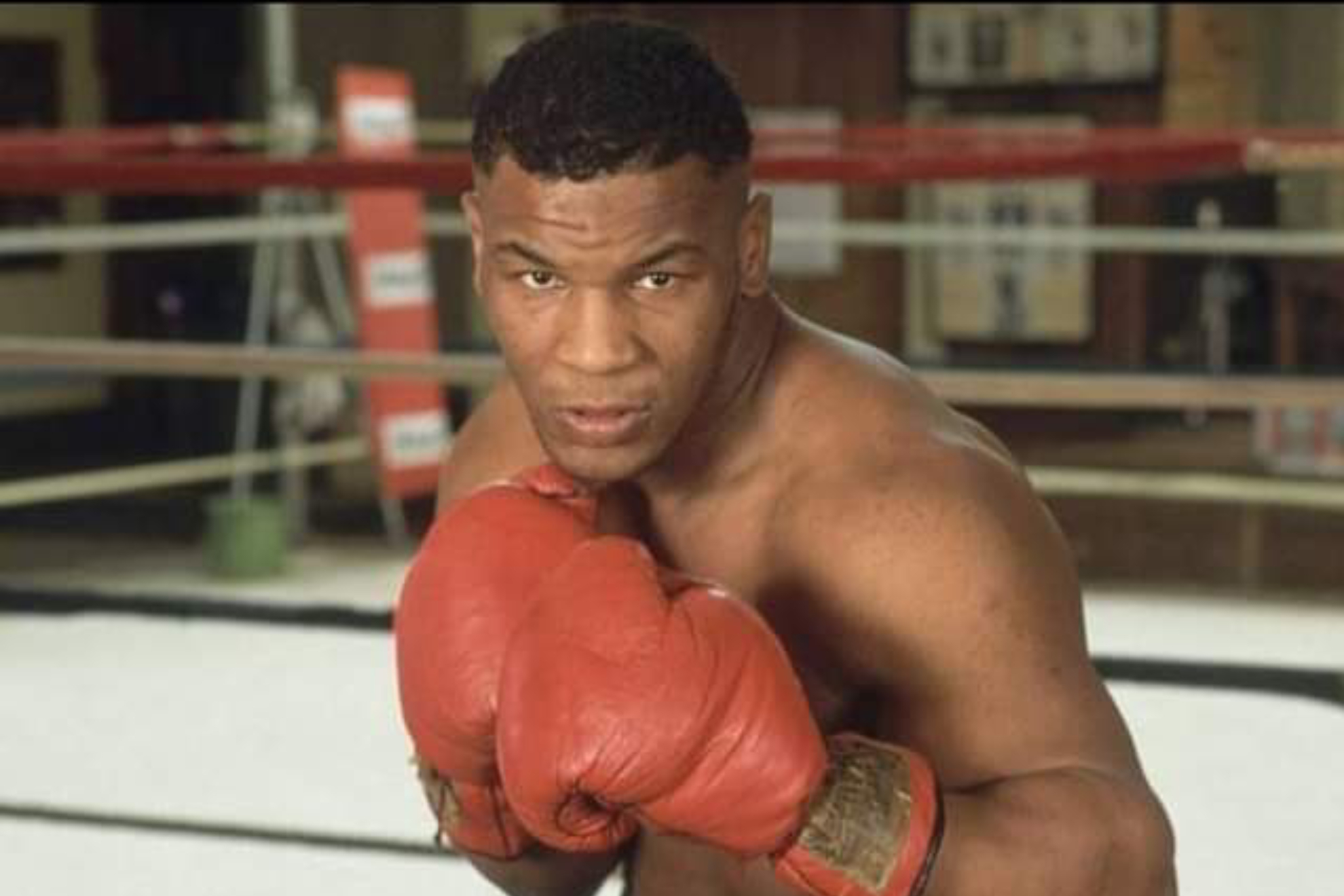 Teddy Atlas Tells How Mike Tyson Knocks Out 17-Year-Old Boxer At 13