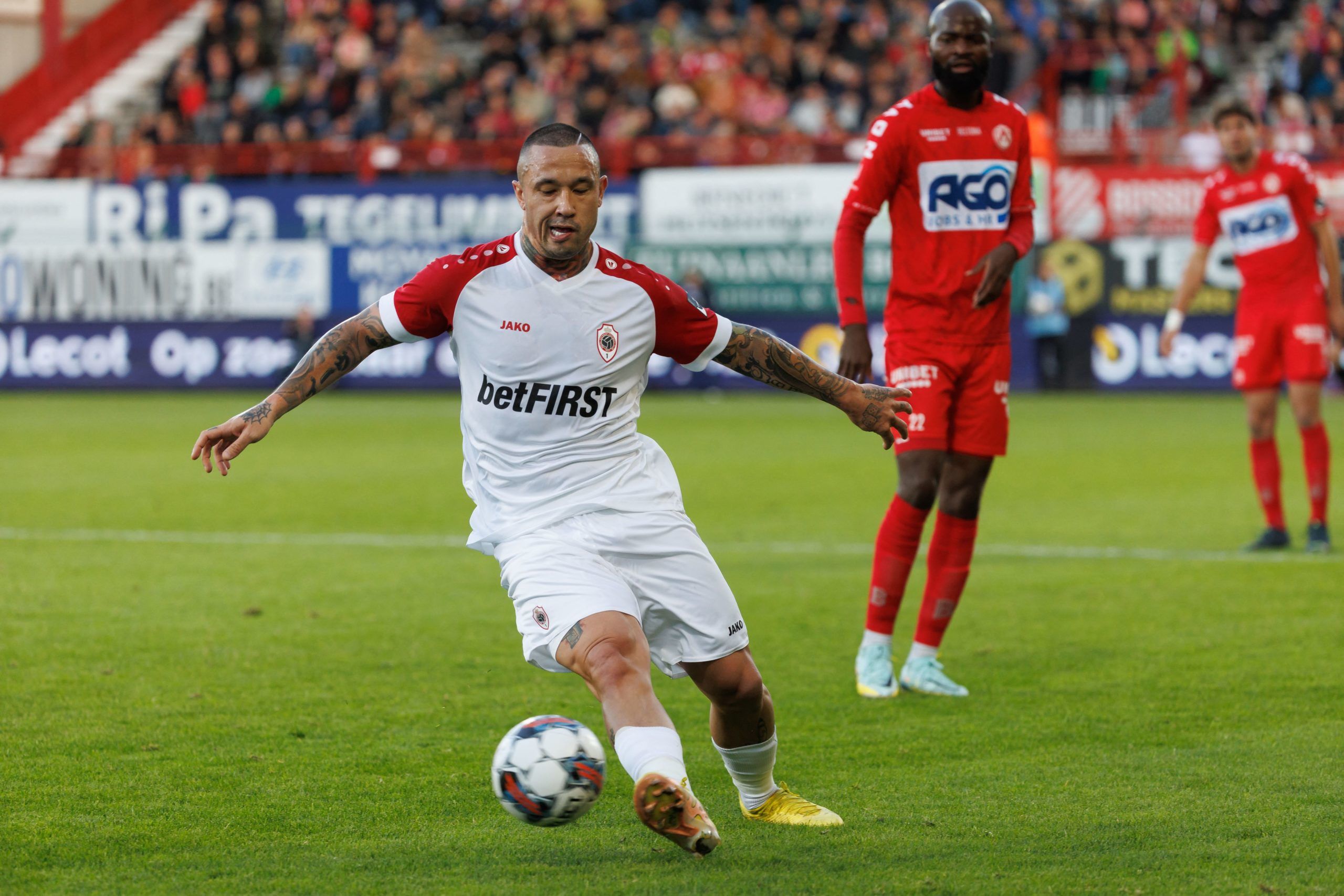 Kortrijk vs. Royal Antwerp. Pronostico, Apuestas y Cuotas│9 de marzo de 2024