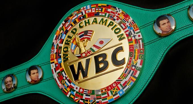 WBC names the best boxers of 2022