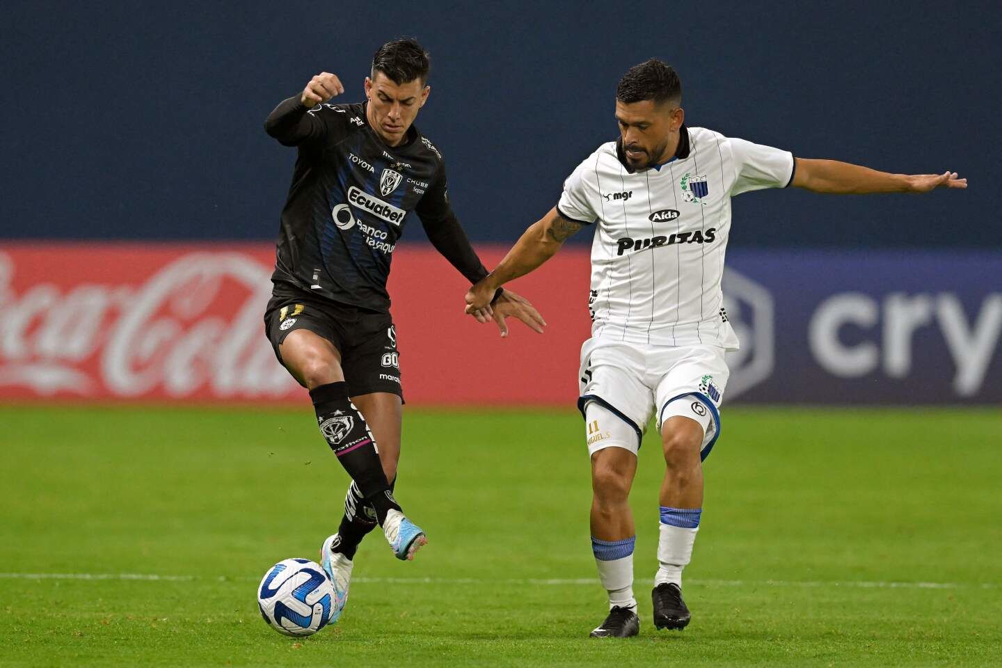 Independiente del Valle vs. Liverpool Montevideo. Pronostico, Apuestas y Cuotas│31 de mayo de 2024