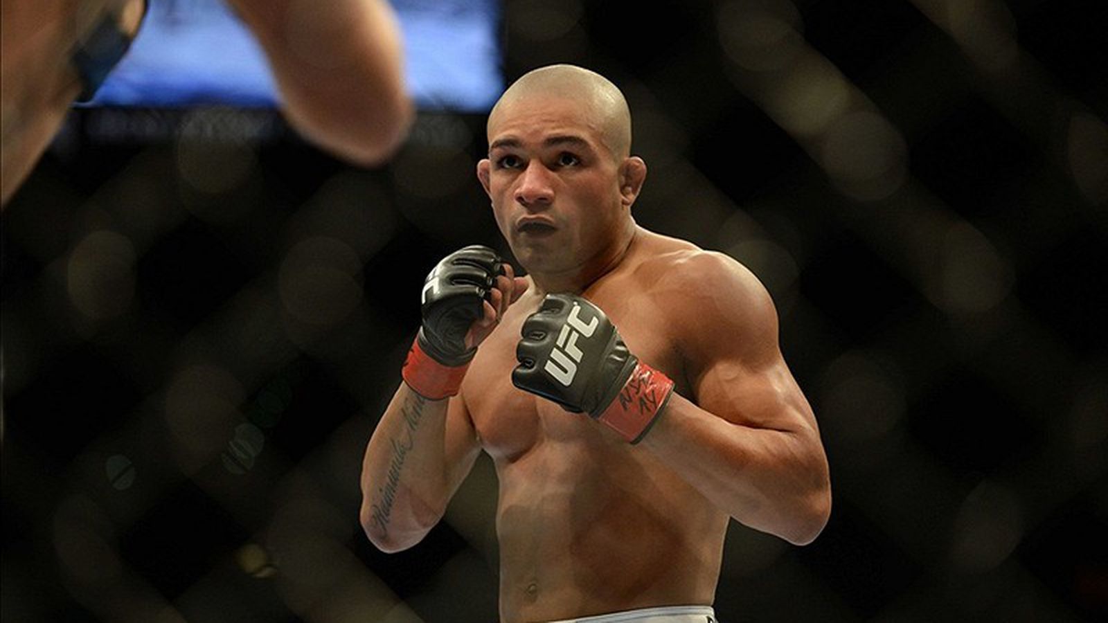 Diego Brandao vs. Mohammad Heibati: Preview, Where to Watch and Betting Odds