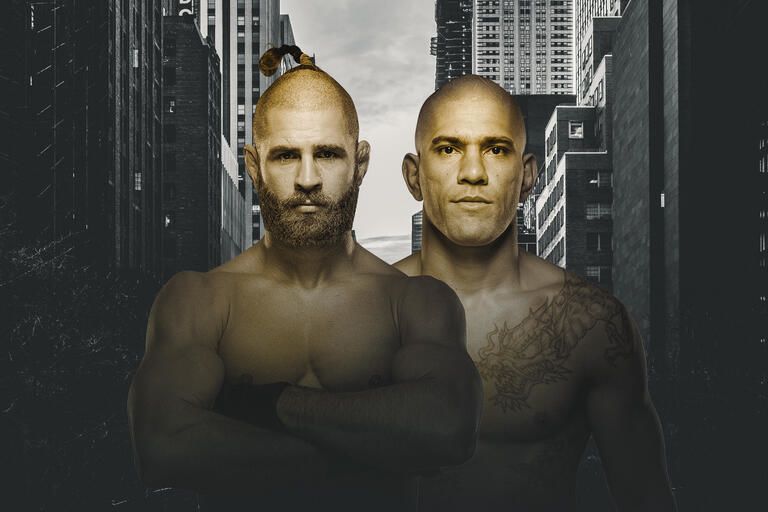 UFC 295 Results: Prochazka vs Pereira