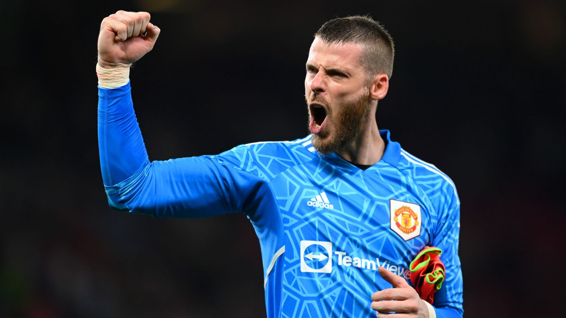 Newcastle Are Considering Transfer Of David De Gea After Pope's Injury