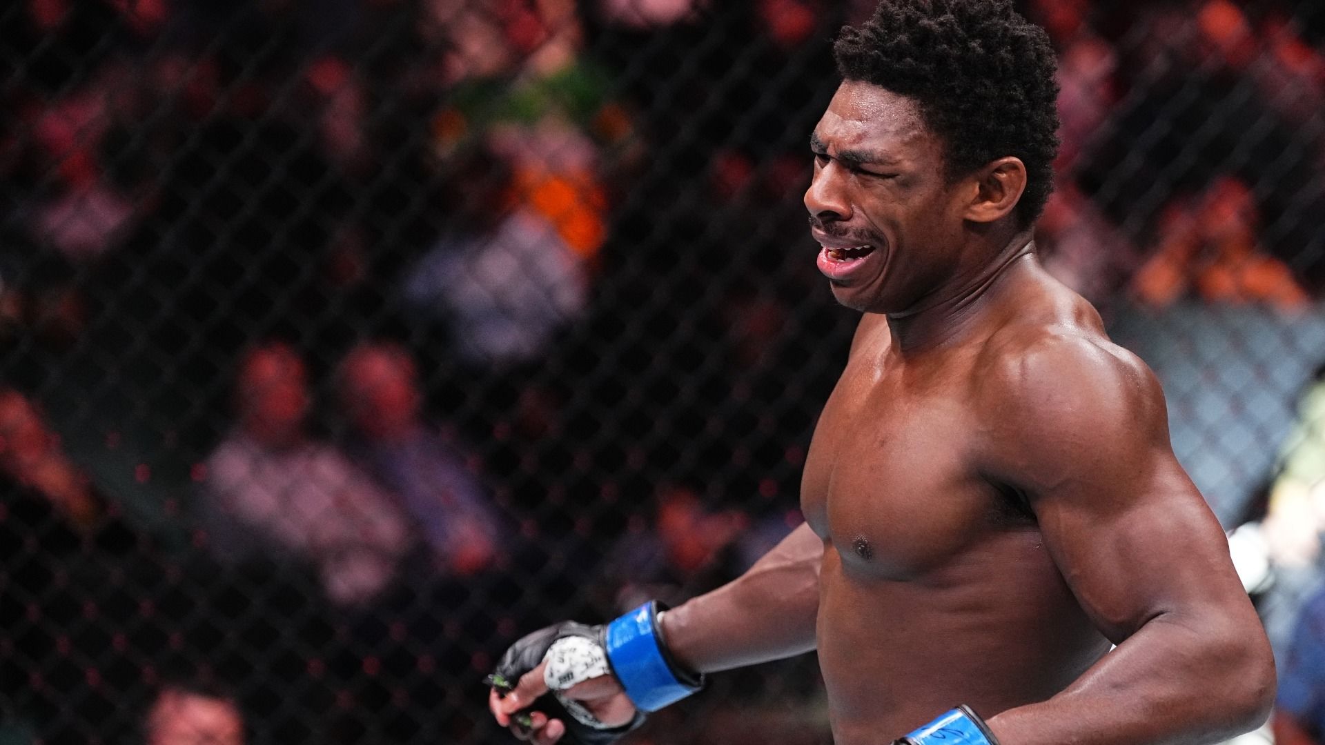 Henry Cejudo: Buckley Has the Most KOs in UFC Since 2020