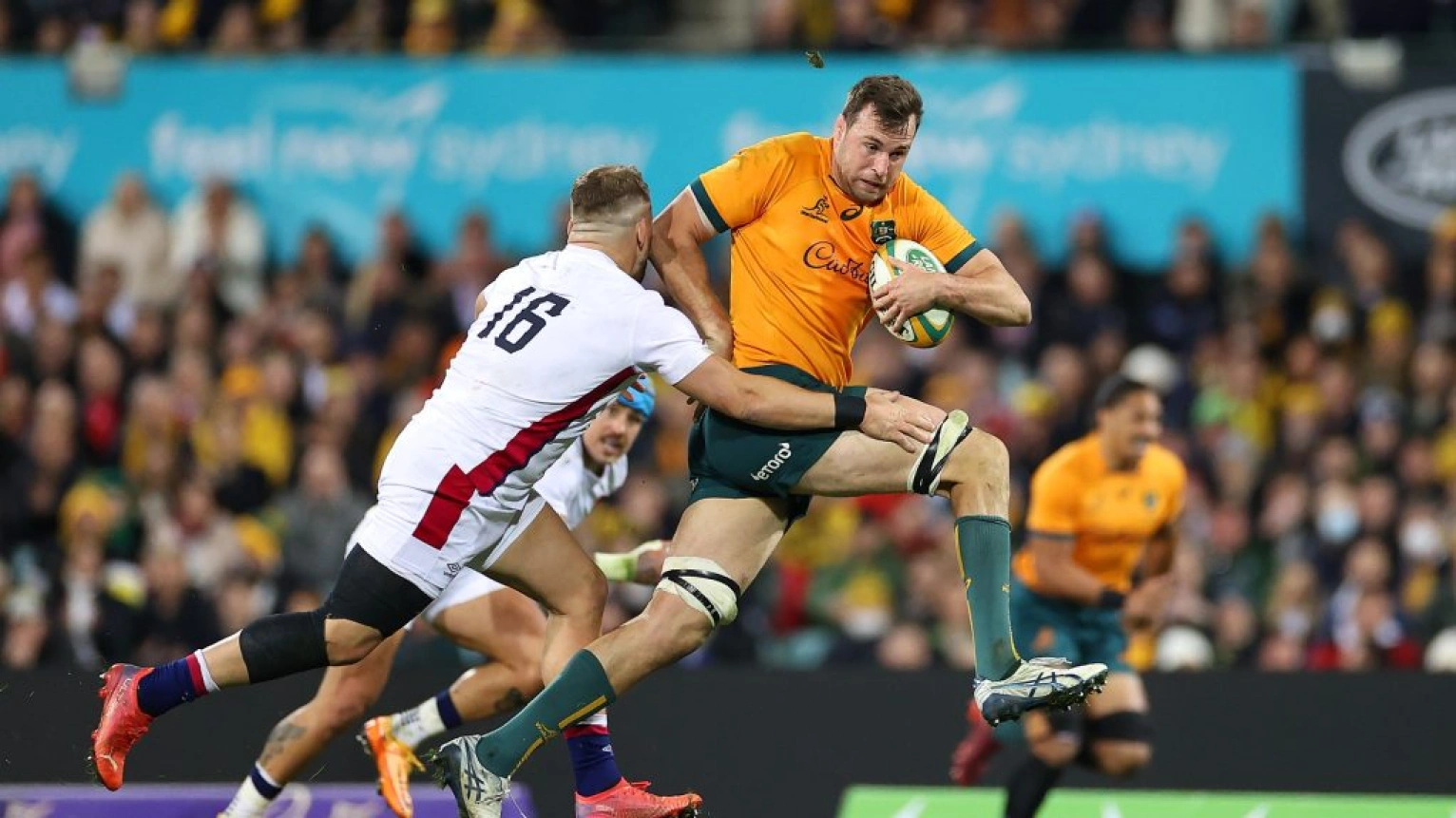 Frost Warns Wallabies: Beware the Boklash