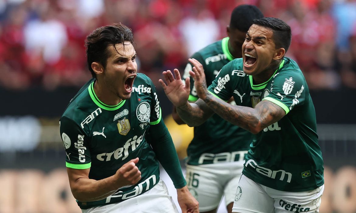 Goias vs Palmeiras Prediction, Betting Tips & Odds │08 MAY, 2023