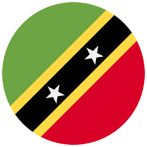 Jamaica vs Saint Kitts and Nevis Prediction: Will the Jamaican team also beat a humble opponent with a dry score?