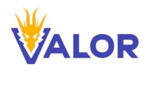 Valor Bet India